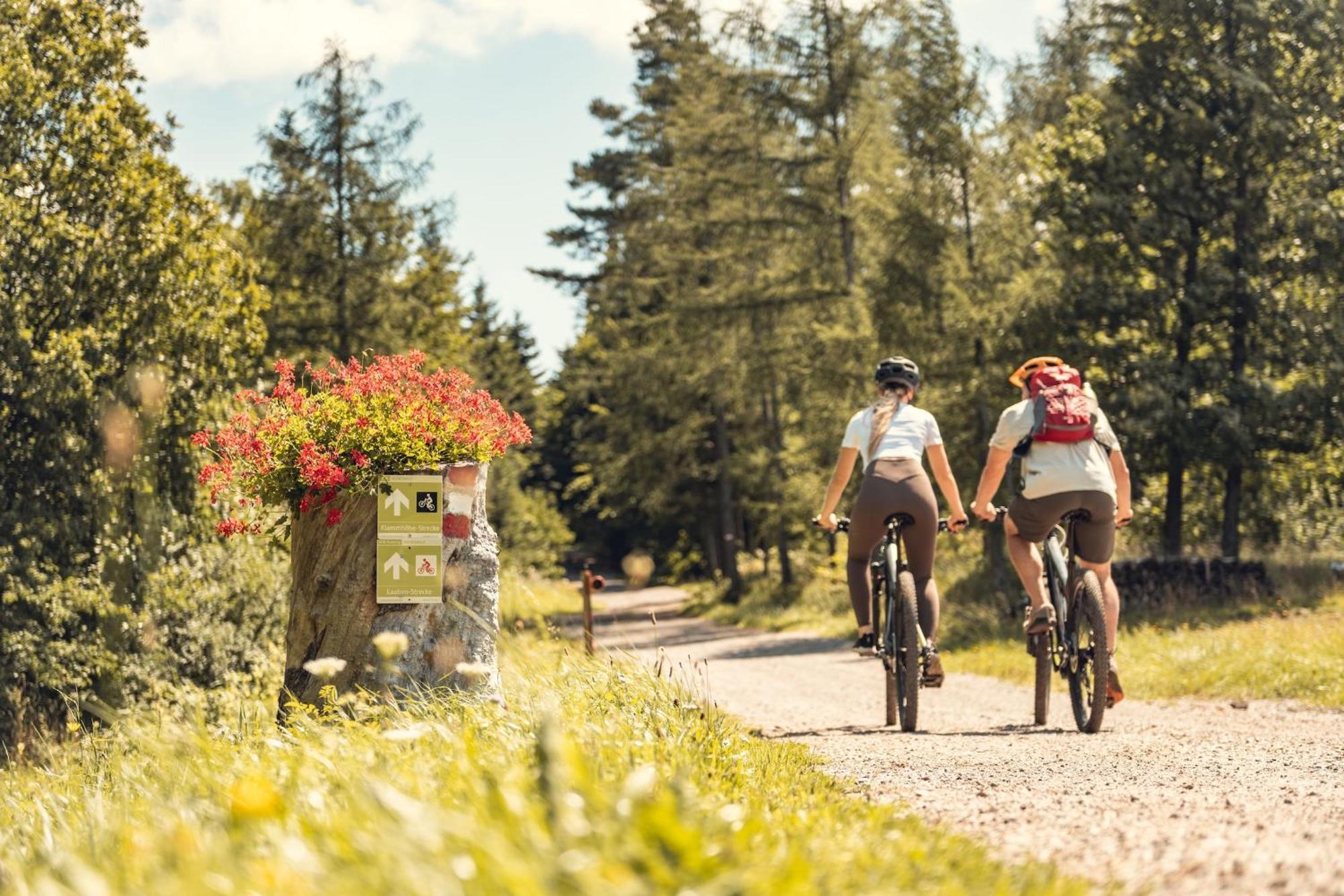 Landgasthof Zur Linde Laaben Zewnętrze zdjęcie