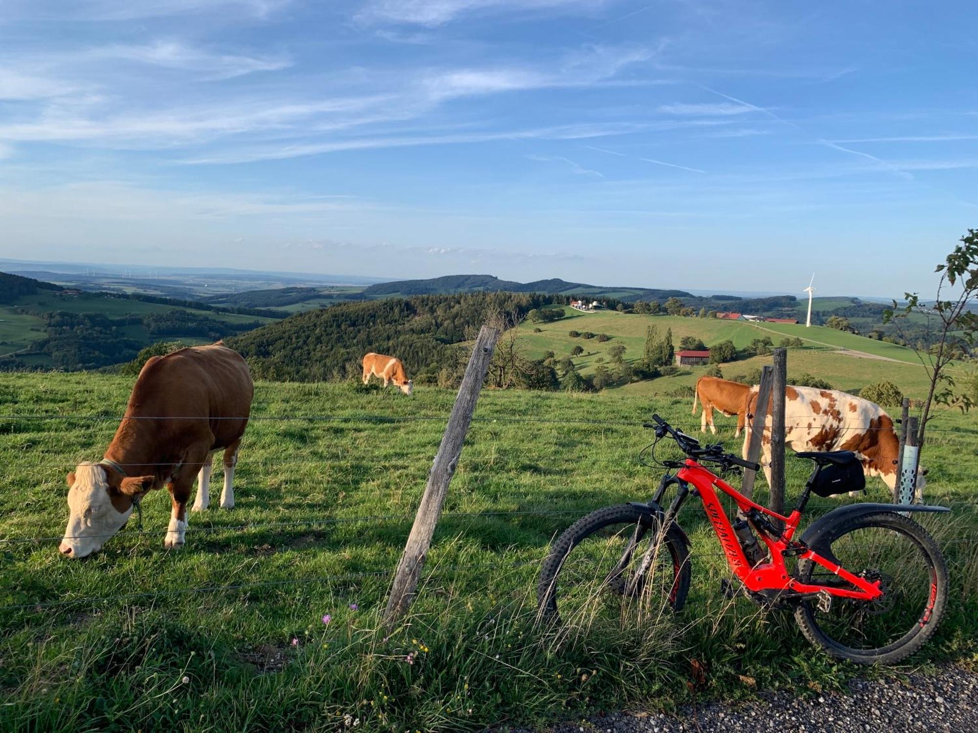 Landgasthof Zur Linde Laaben Zewnętrze zdjęcie