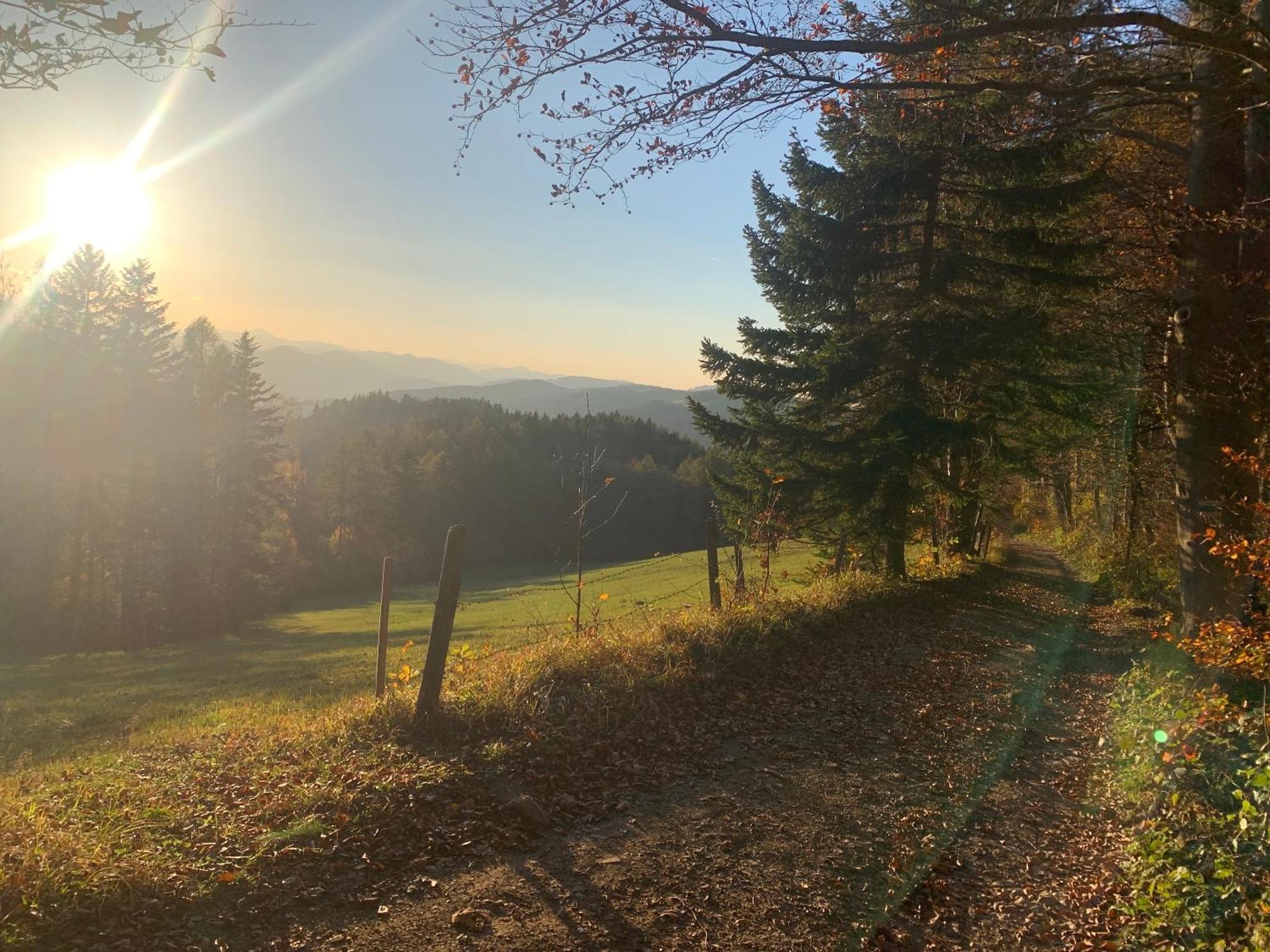 Landgasthof Zur Linde Laaben Zewnętrze zdjęcie